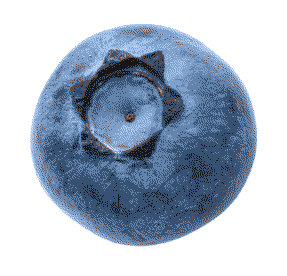 blueberry
